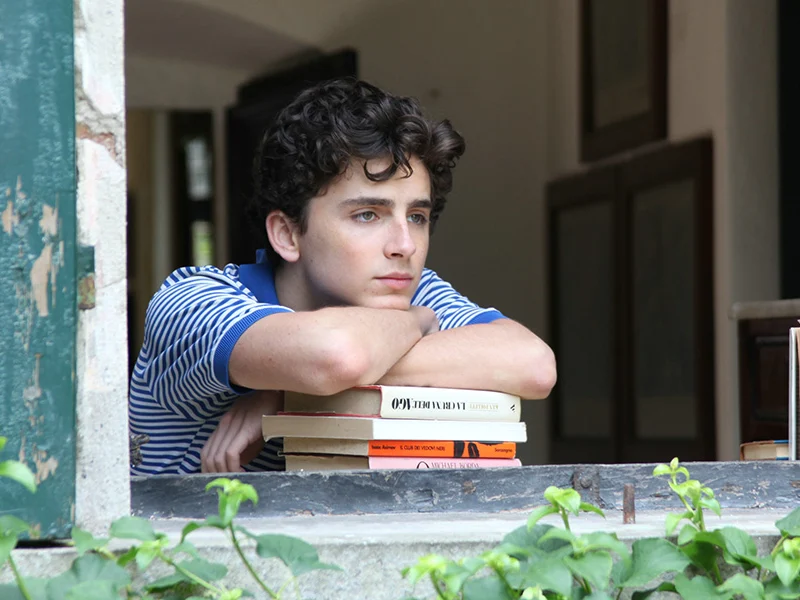 Timothée Chalamet in dem Film "Call Me By Your Name" mit seinem unverwechselbaren Charisma und selbstbewusstem Blick in die Kamera.